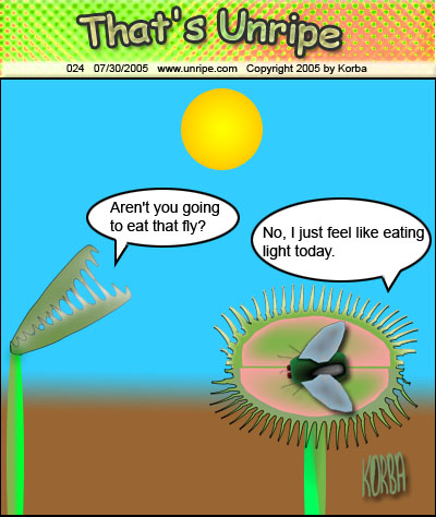 cartoon 24, venus fly trap